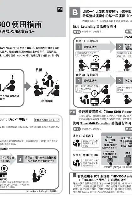 yamaha雅马哈HD-300 Use Guide_Feature Basics